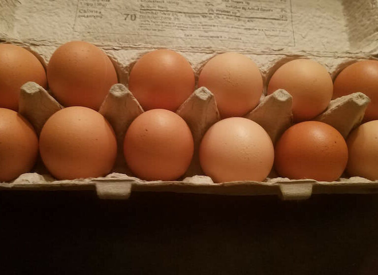 Fresh Eggs - UW Poultry Research Lab